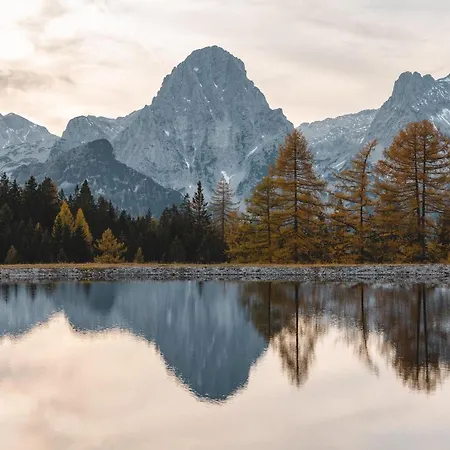 Triforet Alpin Hotel