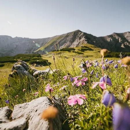 Triforet Alpin * Hinterstoder