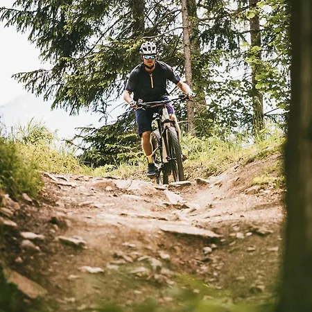 Triforet Alpin * Hinterstoder