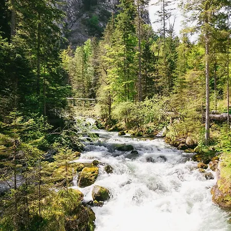 Triforet Alpin Hinterstoder