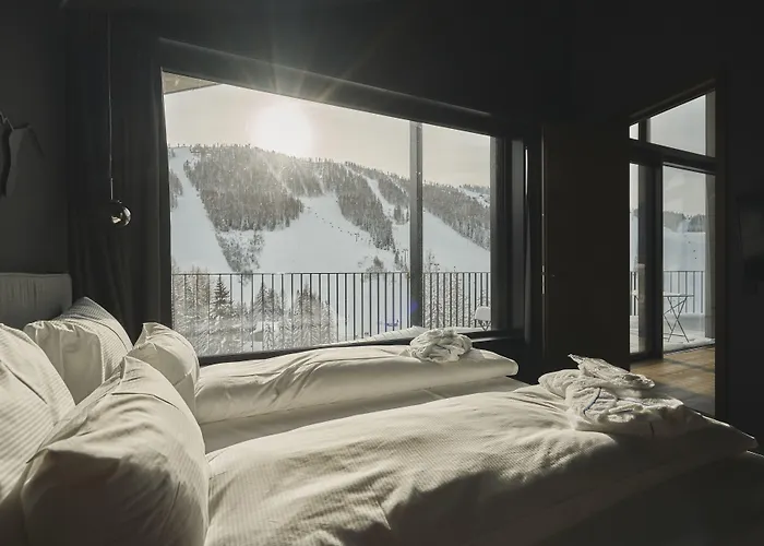 Triforet Alpin ホテル 4*