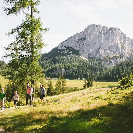 Triforet Alpin * Hinterstoder